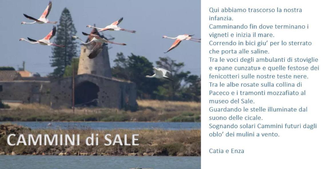 Cammini Di Sale Casa Vacanze Tra Le Saline Torre Nubia Exterior photo